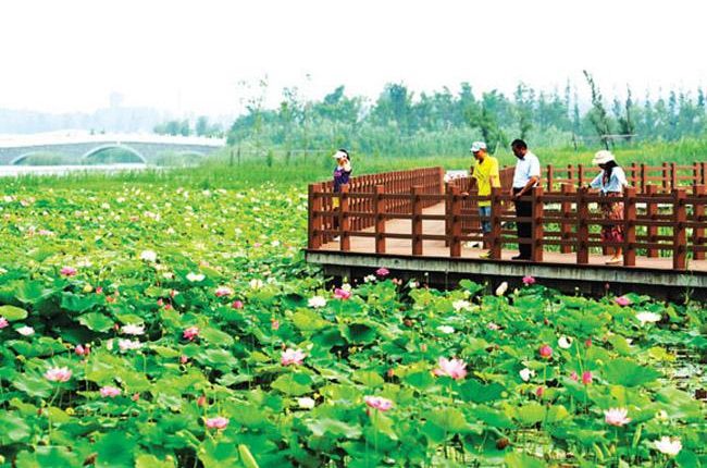 潘安湖實地公園